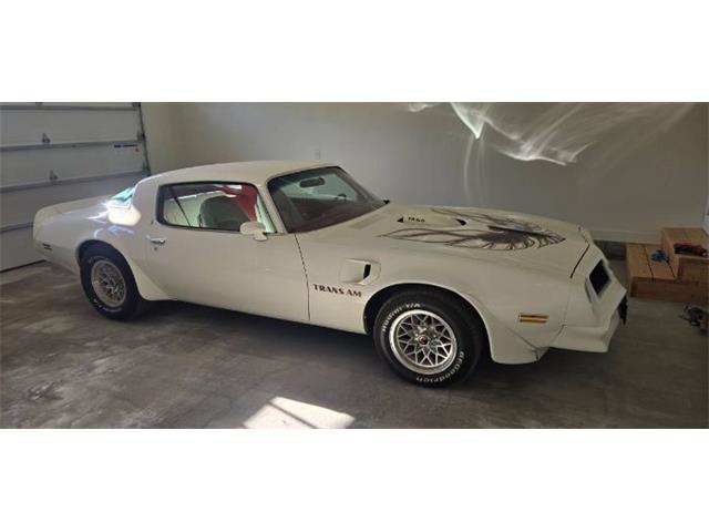 1975 Pontiac Firebird Trans Am (CC-2084141) for sale in Cadillac, Michigan