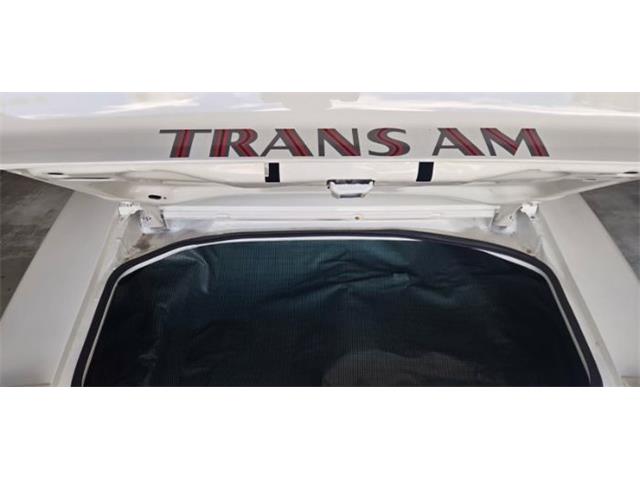 1975 Pontiac Firebird Trans Am (CC-2084141) for sale in Cadillac, Michigan