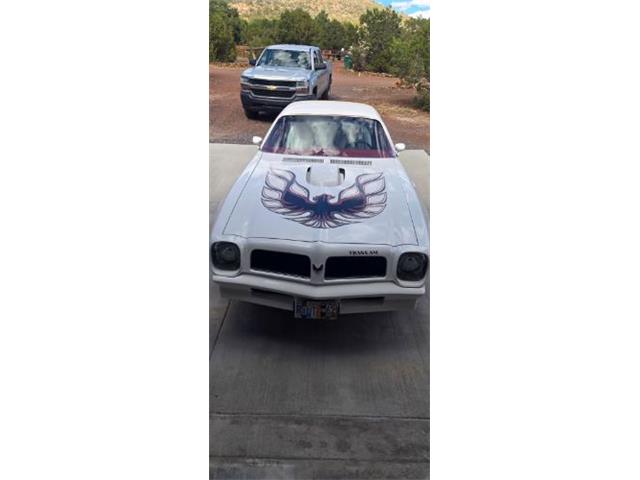 1975 Pontiac Firebird Trans Am (CC-2084141) for sale in Cadillac, Michigan