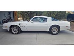 1975 Pontiac Firebird Trans Am (CC-2084141) for sale in Cadillac, Michigan