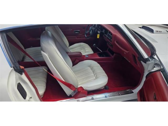 1975 Pontiac Firebird Trans Am (CC-2084141) for sale in Cadillac, Michigan