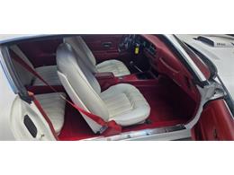 1975 Pontiac Firebird Trans Am (CC-2084141) for sale in Cadillac, Michigan