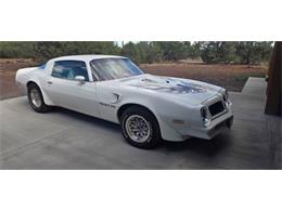 1975 Pontiac Firebird Trans Am (CC-2084141) for sale in Cadillac, Michigan