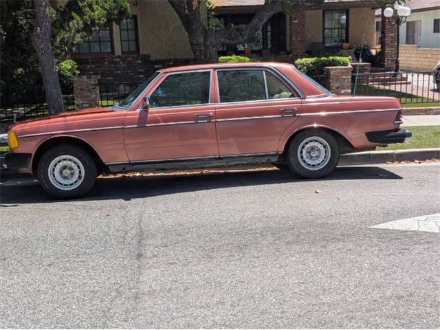 1980 Mercedes-Benz 300D (CC-2084157) for sale in Cadillac, Michigan