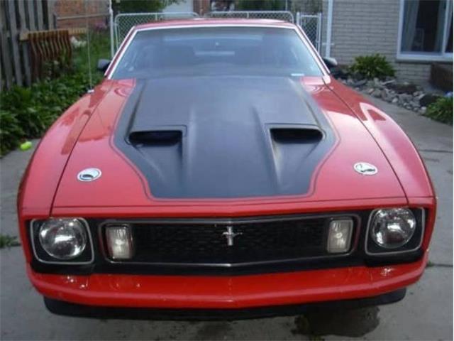 1973 Ford Mustang (CC-2084181) for sale in Cadillac, Michigan