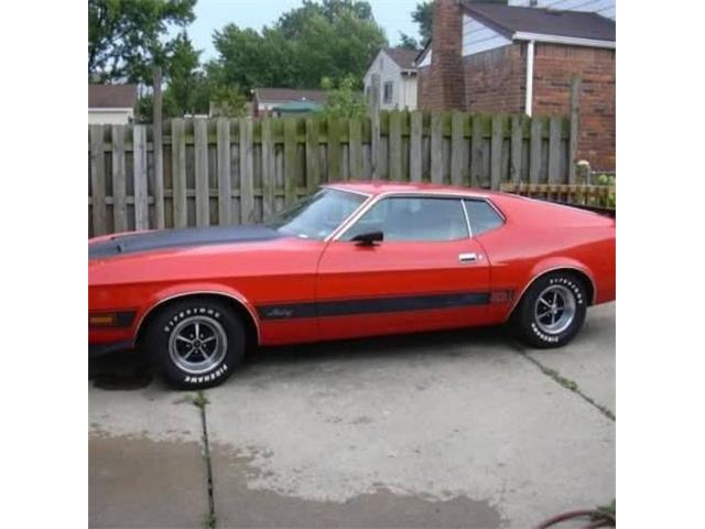 1973 Ford Mustang (CC-2084181) for sale in Cadillac, Michigan