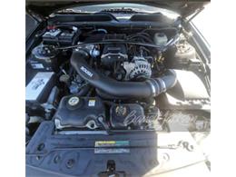 2008 Ford Mustang (Roush) (CC-2084188) for sale in Columbus, Ohio