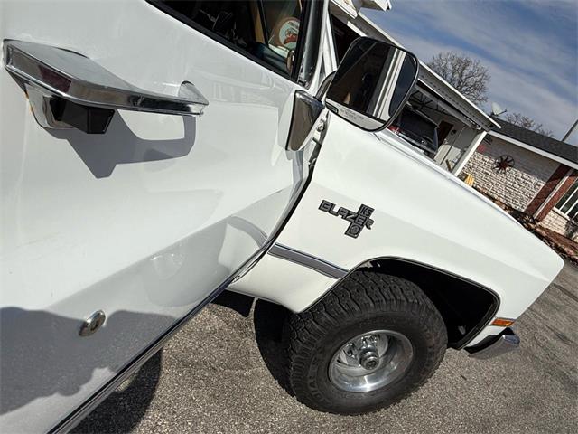 1987 Chevrolet V10 Blazer (CC-2084279) for sale in Wilson, Oklahoma