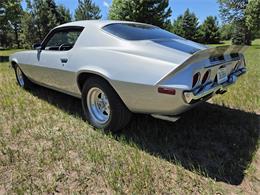 1973 Chevrolet Camaro (CC-2084312) for sale in Waconia , Minnesota