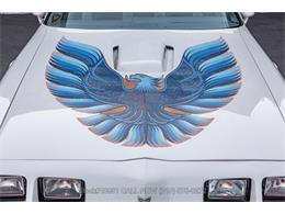 1979 Pontiac Firebird Trans Am (CC-2084316) for sale in Beverly Hills, California