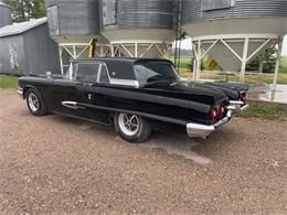 1959 Ford Thunderbird (CC-2084392) for sale in Beausejour , Manitoba
