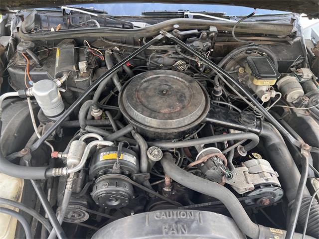 1986 Cadillac Fleetwood Brougham (CC-2084395) for sale in Land O Lakes, Florida