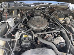 1986 Cadillac Fleetwood Brougham (CC-2084395) for sale in Land O Lakes, Florida