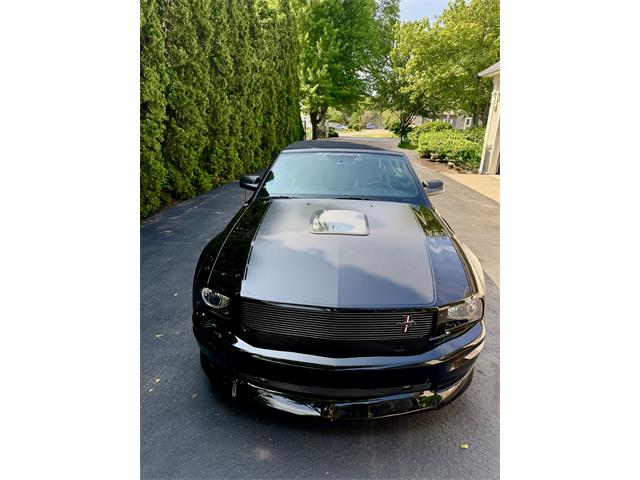 2007 Ford Mustang GT (CC-2084417) for sale in Fox Lake, Illinois