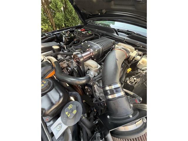 2007 Ford Mustang GT (CC-2084417) for sale in Fox Lake, Illinois