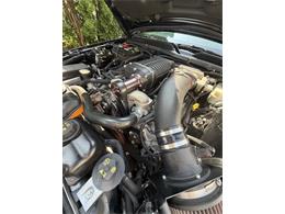 2007 Ford Mustang GT (CC-2084417) for sale in Fox Lake, Illinois
