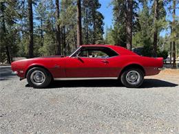 1968 Chevrolet Camaro (CC-2084424) for sale in Grass Valley,  CA