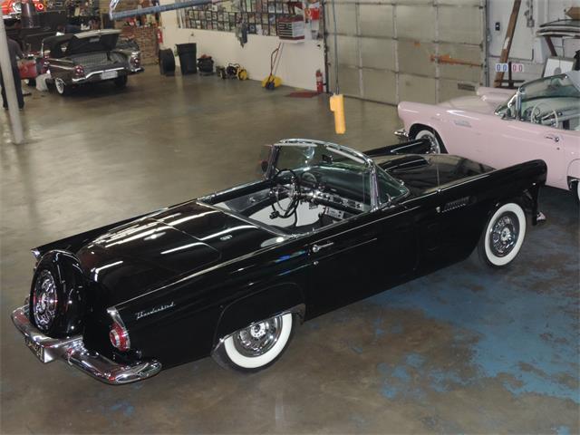 1956 Ford Thunderbird (CC-2084433) for sale in Dallas, Texas