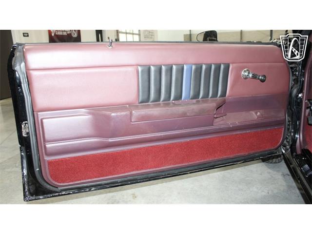 1979 Chevrolet Malibu (CC-2084471) for sale in Runnemede, New Jersey