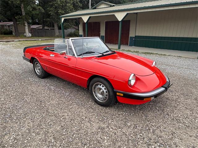 1985 Alfa Romeo 2000 (CC-2084567) for sale in Nashville, Illinois