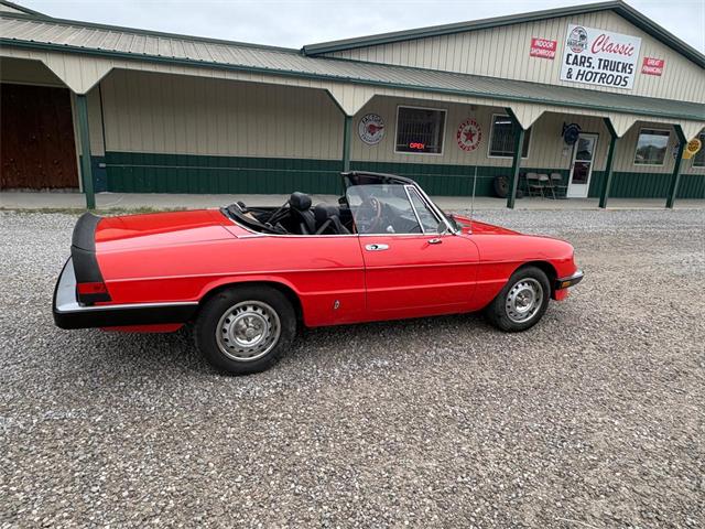 1985 Alfa Romeo 2000 (CC-2084567) for sale in Nashville, Illinois