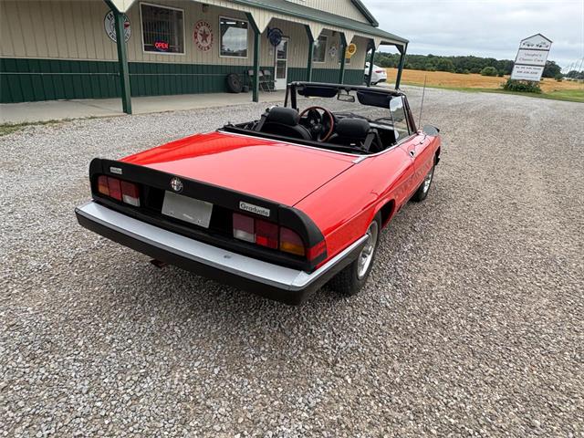 1985 Alfa Romeo 2000 (CC-2084567) for sale in Nashville, Illinois