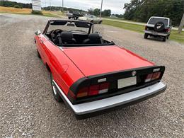 1985 Alfa Romeo 2000 (CC-2084567) for sale in Nashville, Illinois