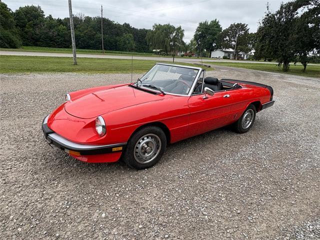 1985 Alfa Romeo 2000 (CC-2084567) for sale in Nashville, Illinois