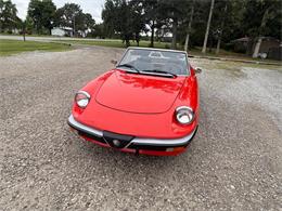 1985 Alfa Romeo 2000 (CC-2084567) for sale in Nashville, Illinois
