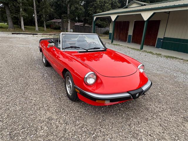 1985 Alfa Romeo 2000 (CC-2084567) for sale in Nashville, Illinois