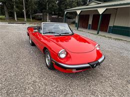 1985 Alfa Romeo 2000 (CC-2084567) for sale in Nashville, Illinois