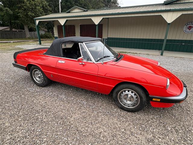 1985 Alfa Romeo 2000 (CC-2084567) for sale in Nashville, Illinois