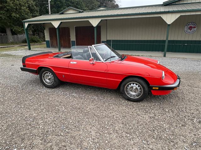 1985 Alfa Romeo 2000 (CC-2084567) for sale in Nashville, Illinois