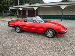 1985 Alfa Romeo 2000 (CC-2084567) for sale in Nashville, Illinois