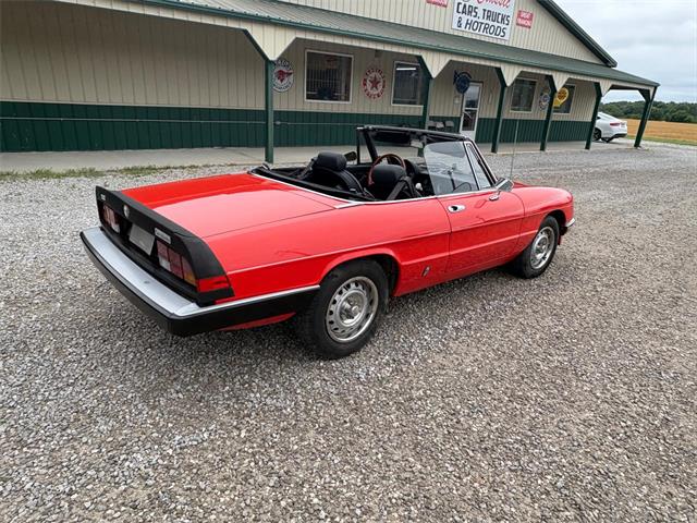 1985 Alfa Romeo 2000 (CC-2084567) for sale in Nashville, Illinois
