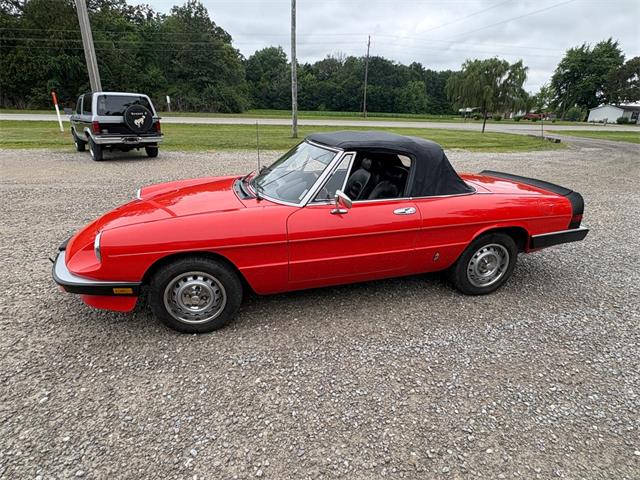 1985 Alfa Romeo 2000 (CC-2084567) for sale in Nashville, Illinois