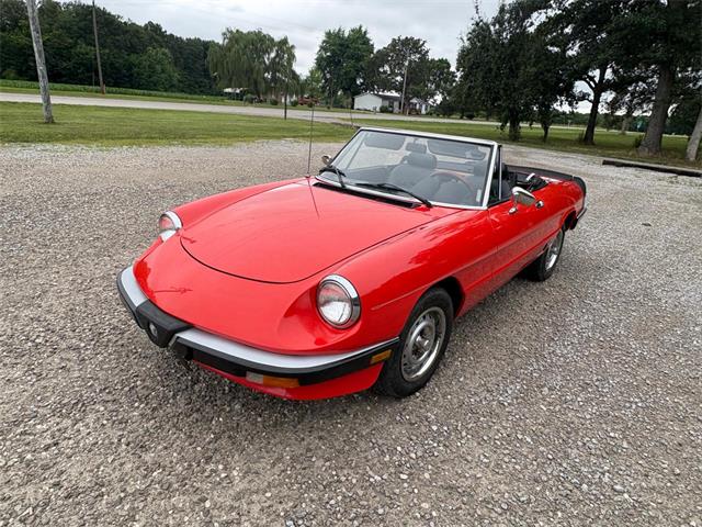 1985 Alfa Romeo 2000 (CC-2084567) for sale in Nashville, Illinois
