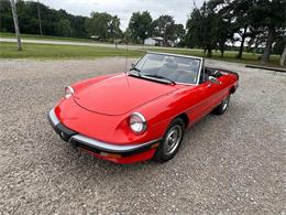 1985 Alfa Romeo 2000 (CC-2084567) for sale in Nashville, Illinois