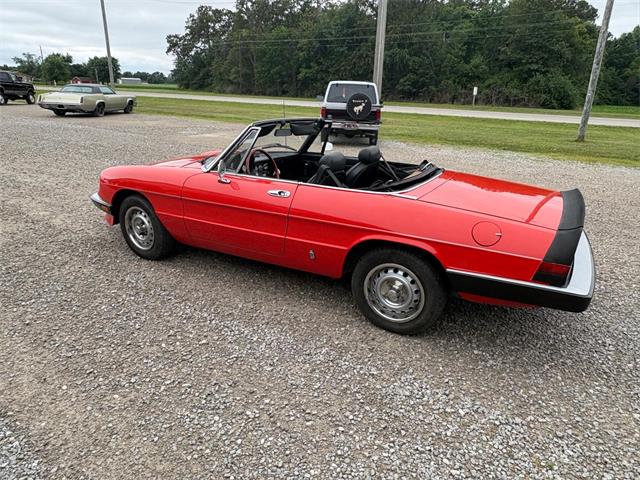 1985 Alfa Romeo 2000 (CC-2084567) for sale in Nashville, Illinois