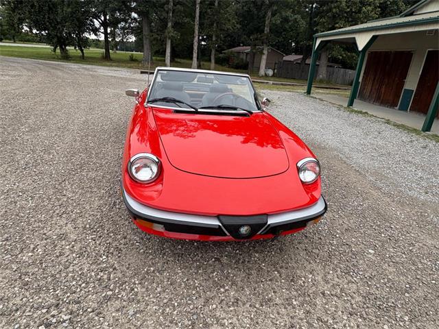 1985 Alfa Romeo 2000 (CC-2084567) for sale in Nashville, Illinois
