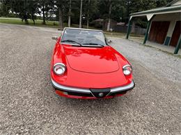 1985 Alfa Romeo 2000 (CC-2084567) for sale in Nashville, Illinois