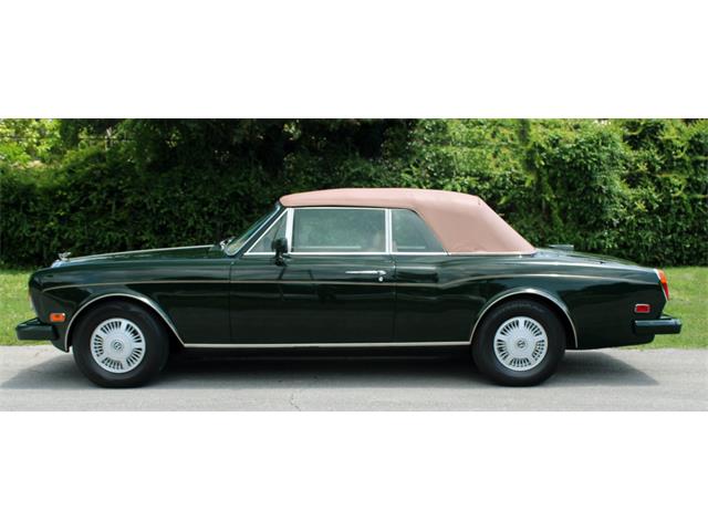1988 Bentley Continental (CC-2084621) for sale in North Miami , Florida