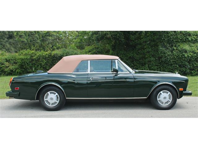 1988 Bentley Continental (CC-2084621) for sale in North Miami , Florida