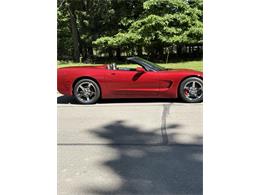 1999 Chevrolet Corvette (CC-2084625) for sale in Mill Hall, Pennsylvania