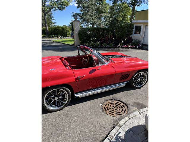 1967 Chevrolet Corvette (CC-2084651) for sale in Hicksville , New York