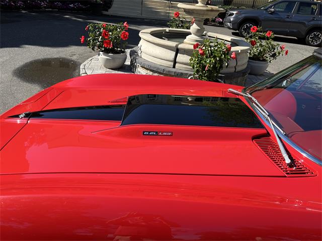 1967 Chevrolet Corvette (CC-2084651) for sale in Hicksville , New York