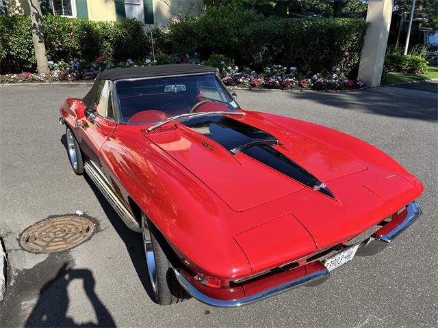 1967 Chevrolet Corvette (CC-2084651) for sale in Hicksville , New York