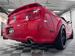 2006 Ford Mustang (CC-2080466) for sale in North East, Pennsylvania