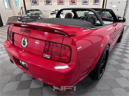 2006 Ford Mustang (CC-2080466) for sale in North East, Pennsylvania