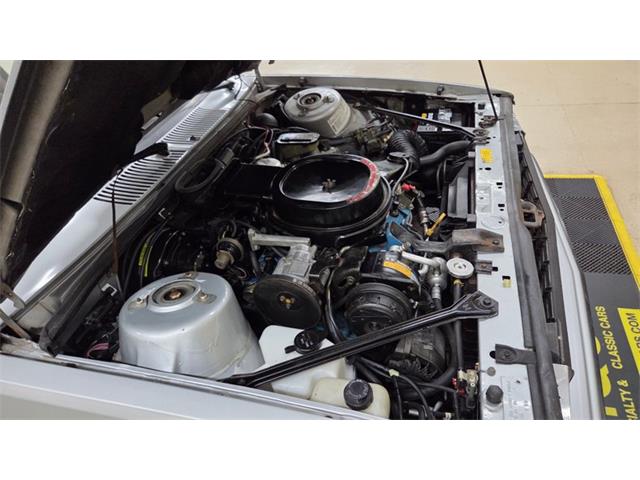 1982 Chevrolet Citation (CC-2084727) for sale in Mankato, Minnesota